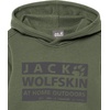 image:imageJack Wolfskin boys Brand Hoody KThyme Green