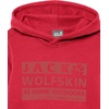 image:imageJack Wolfskin boys Brand Hoody KTulip Red