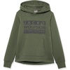image:imageJack Wolfskin boys Brand Hoody KThyme Green